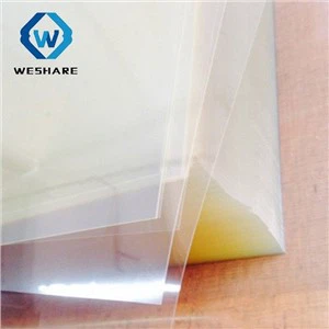 ฟิล์มปล่อยสัตว์เลี้ยงแก้วใส